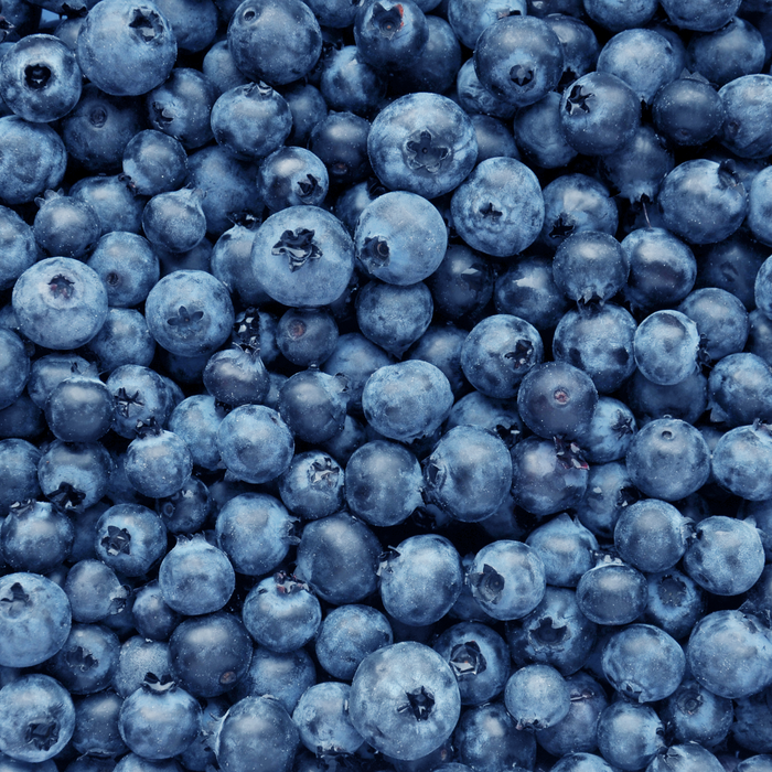 Antioxidantien
