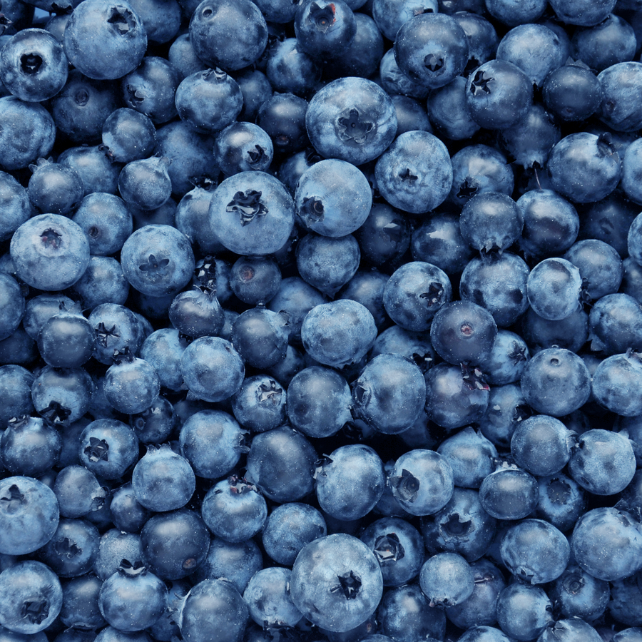 Antioxidantien