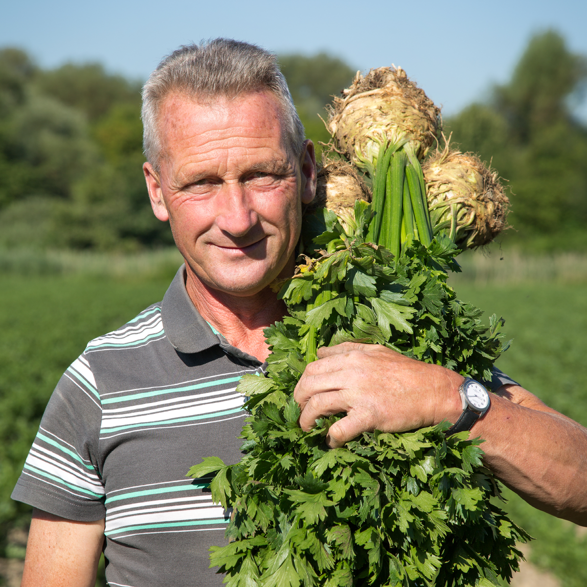 Biotta Sellerie – Bio-Saft – Bild 2 von 2