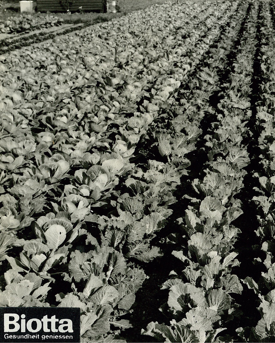 1951