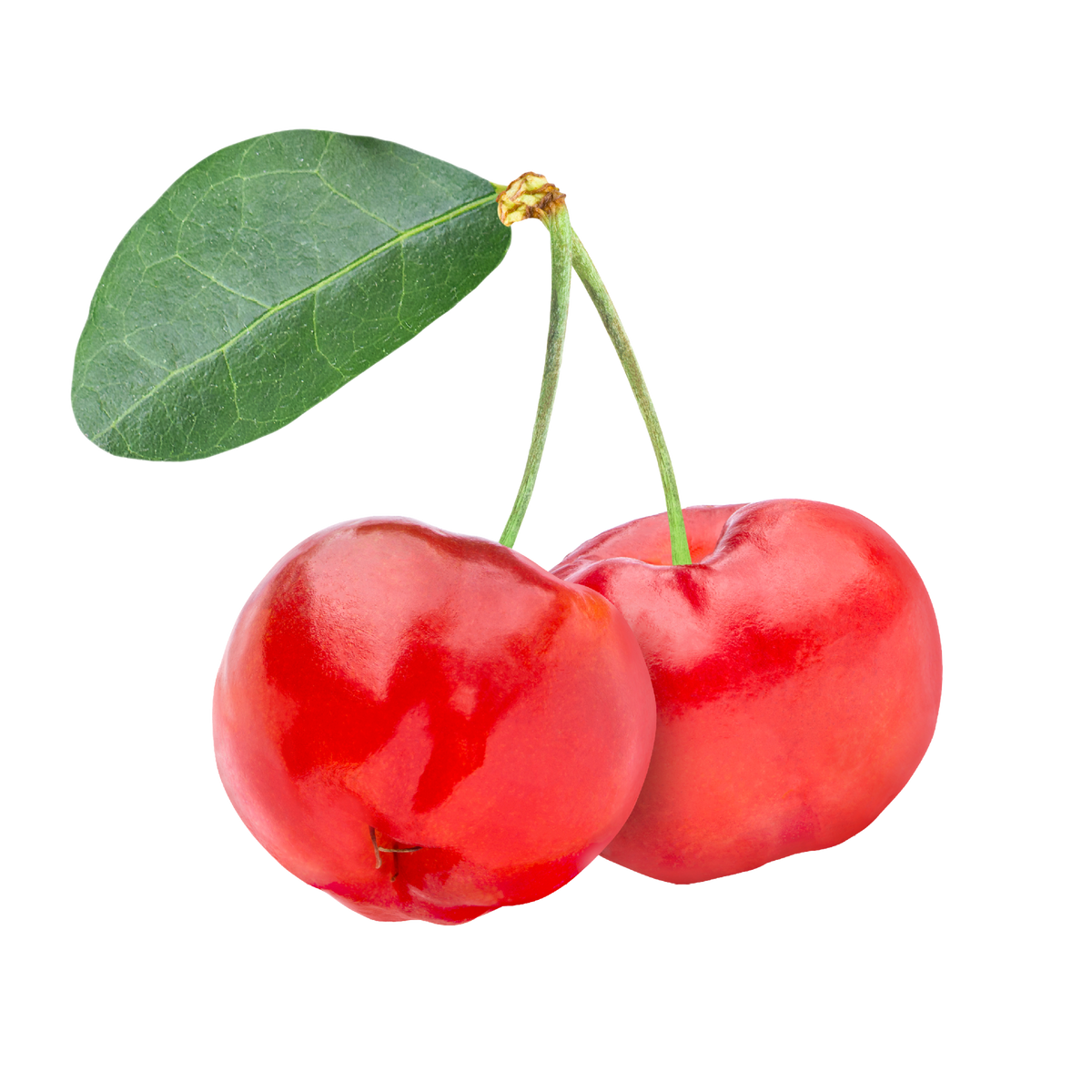Acerola
