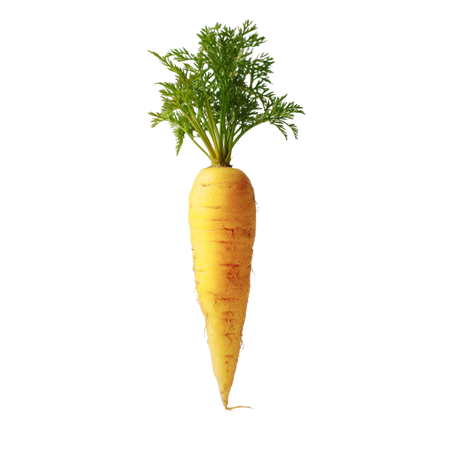 yellow carrot