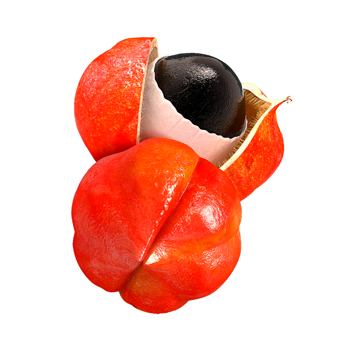 Guarana