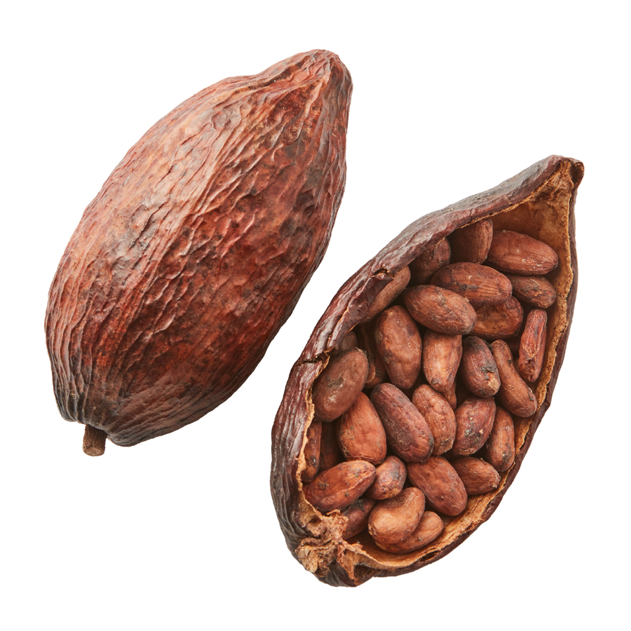 cocoa powder