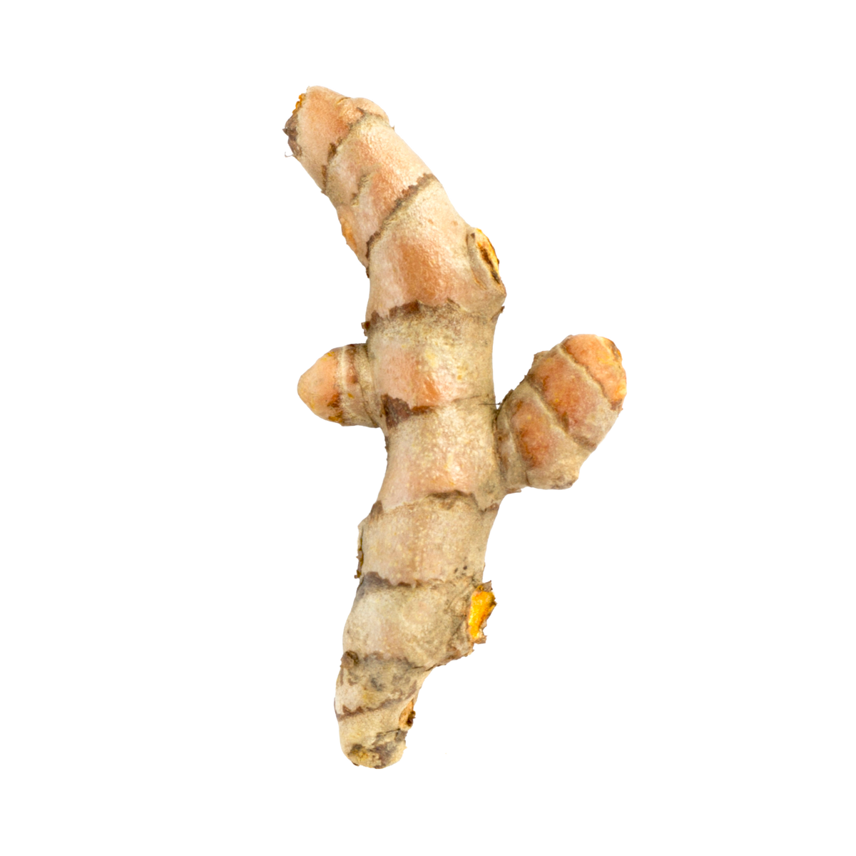 Kurkuma