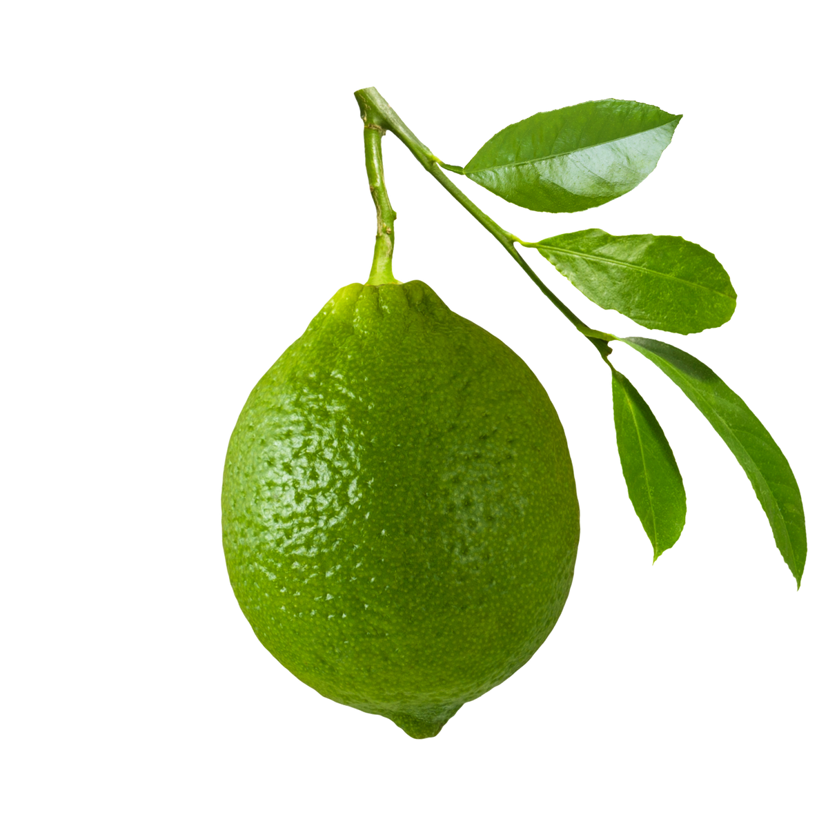 citron vert