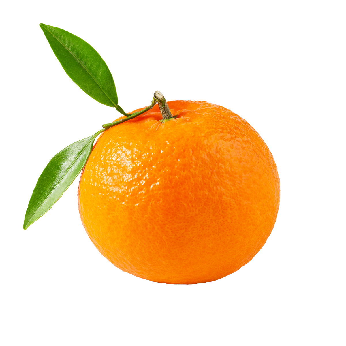 Mandarino