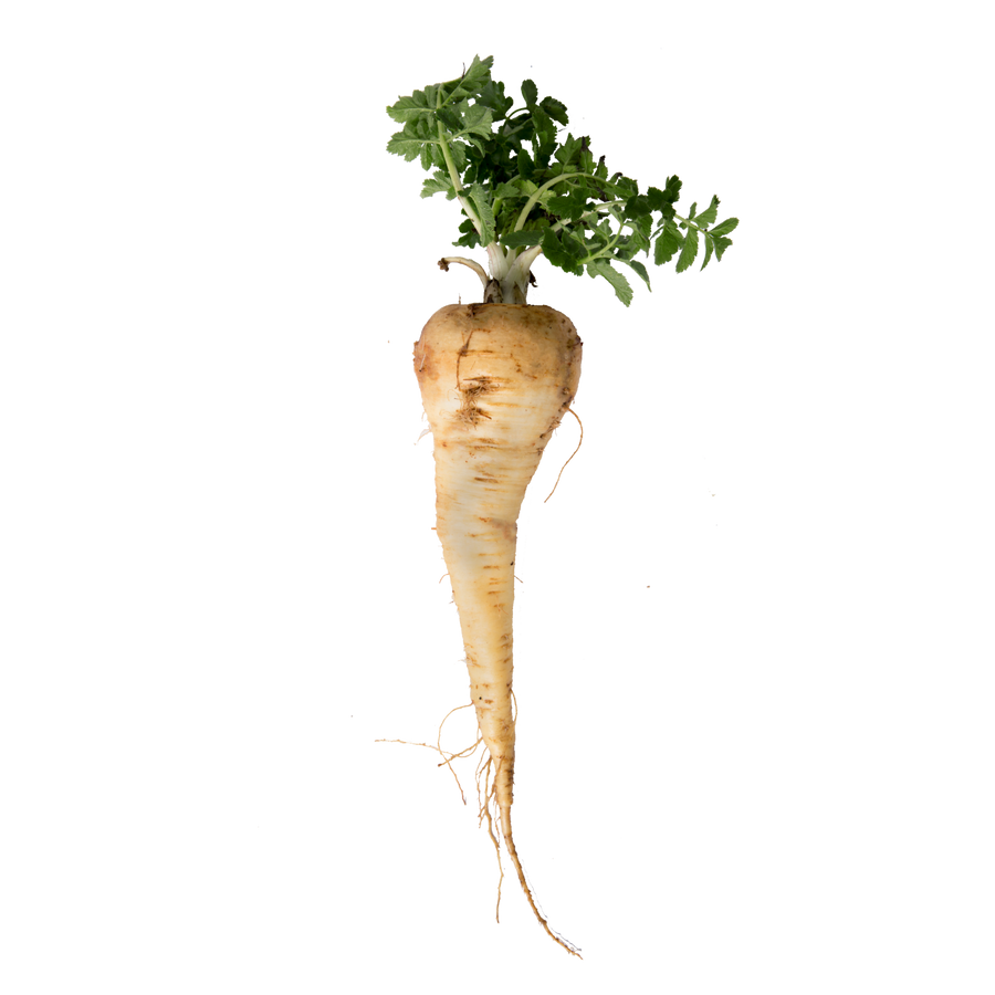 parsnip