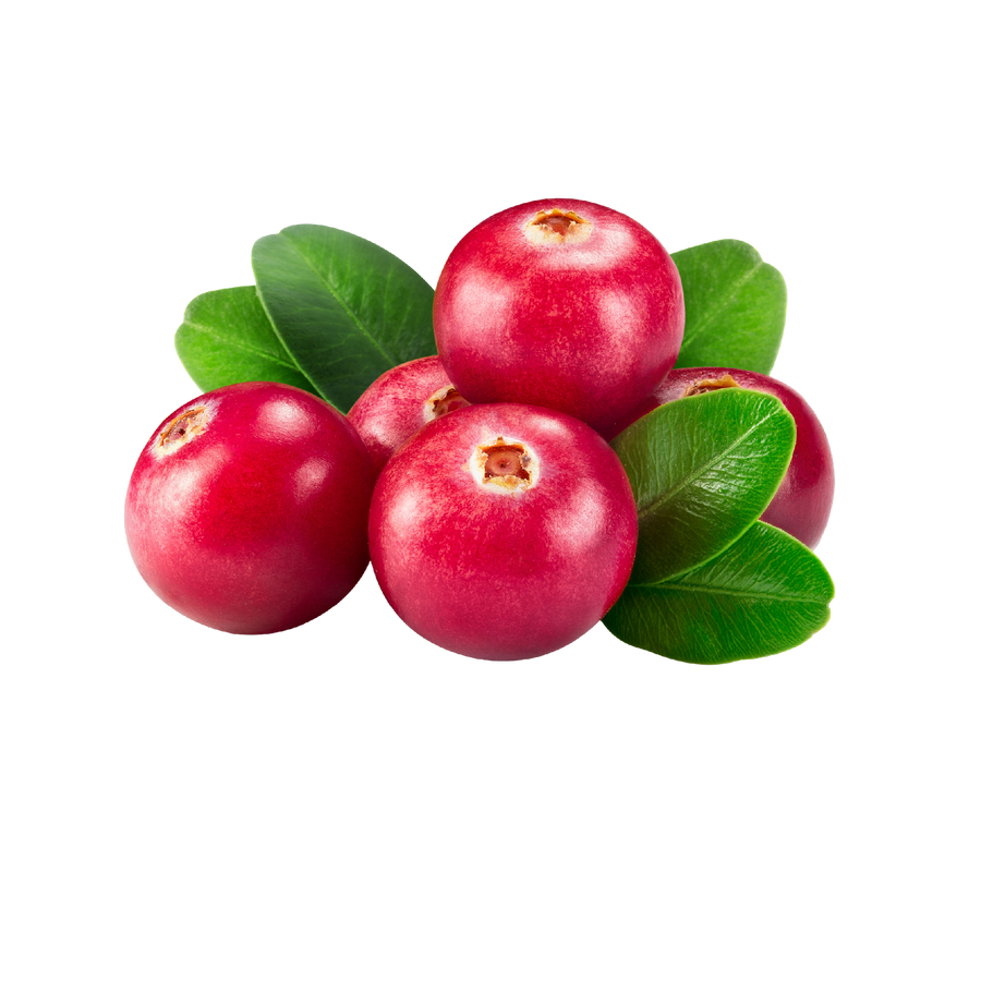 lingonberry