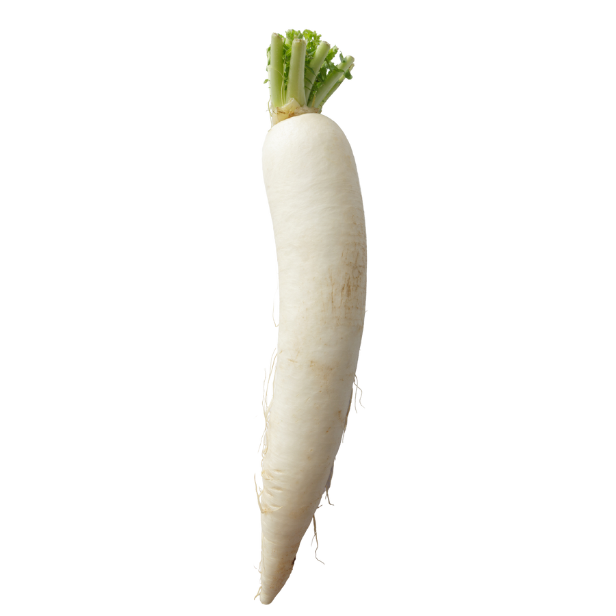 radish
