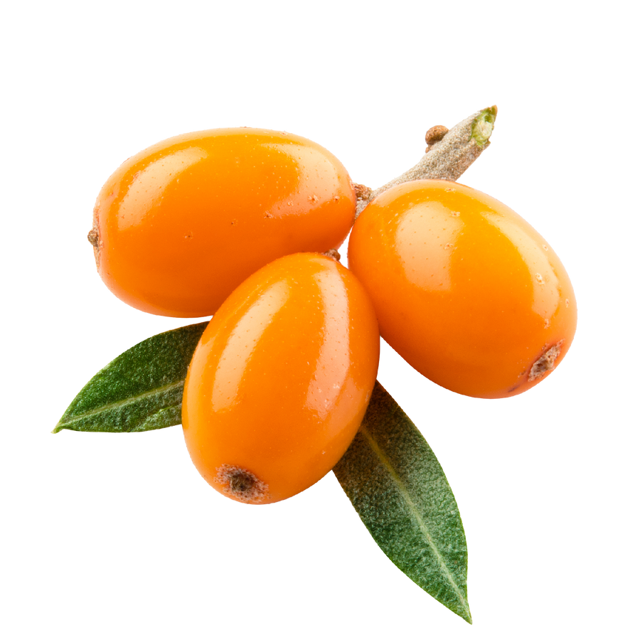 sea buckthorn