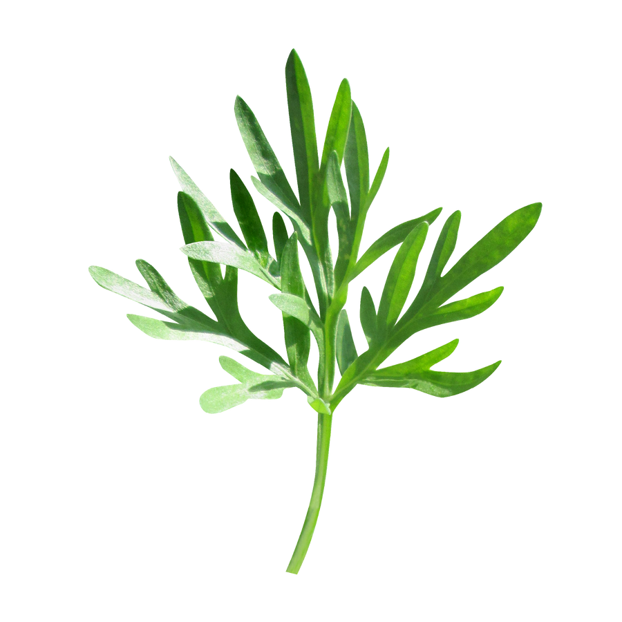 Vermouth