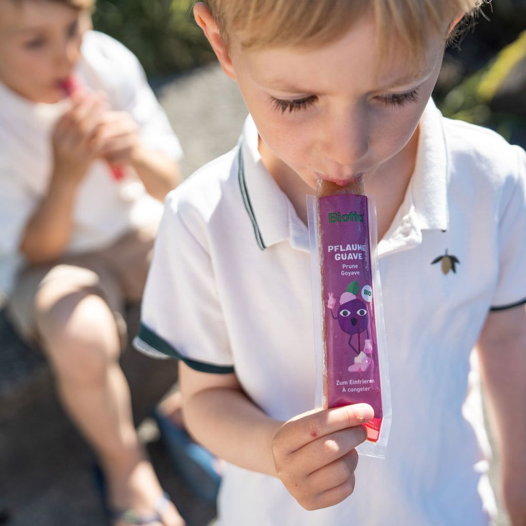 Biotta Fruity Ice Sticks – Bild 4 von 5